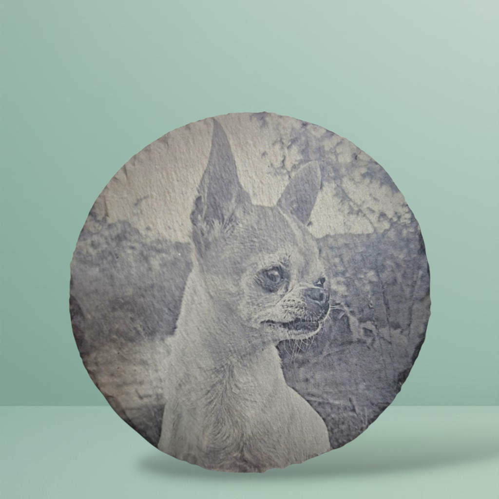 🪨 Fotogravure op leisteen – rond 20×20 cm