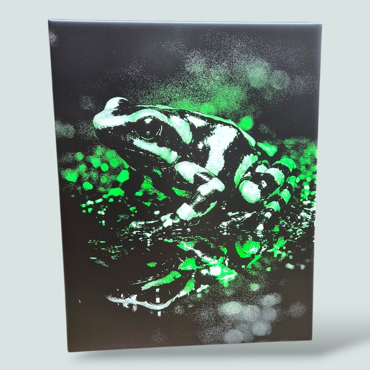 Gelaserde Keramische Tegel – Neon Frog