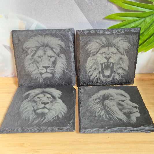 Prachtige Leeuw Illustraties