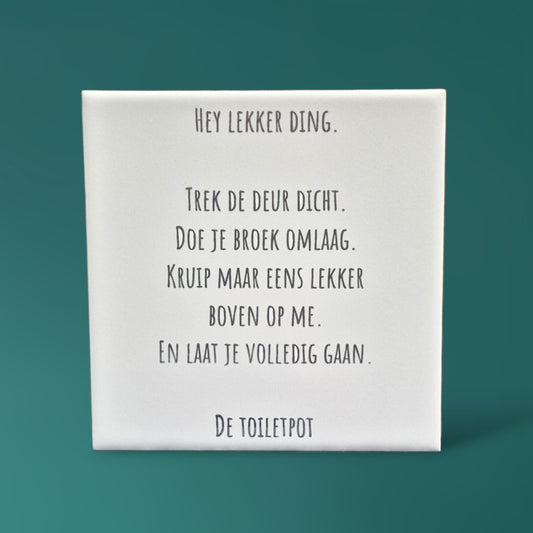 Keramische tegel 15×15 cm – humoristische gelaserde tekst 🚽😄